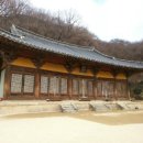 풍기인삼농협 - 동구 | 풍기인삼농협