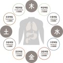 영신숲길3 | [수원 8체질 한의원] 삼 만원에 알아보는 내 체질, 내돈내산 영신한의원 후기