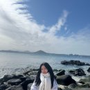 (주)코발트레이 | 우도 당일치기 추천 &#39;렌트카&#39;, &#39;카페&#39;, &#39;서빈백사&#39;, &#39;소품샵&#39;