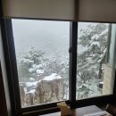 [경북 울진] 덕구온천호텔 &#39;테라스 스파룸&#39; 개별 노천온천 대만족 후기(+조식)