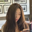 피아트헤어