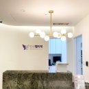 연세펠리체여성의원 이미지