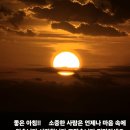 **** 조선왕조 제1의 배신자, 배신의 대명사ㅡ 신숙주. 이미지