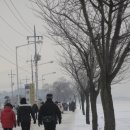 고천초등학교 이미지