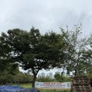 온가족놀이터 | 안산 호수공원 물놀이터 개장 가족친수놀이터 방문후기