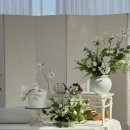 더메종 | 돌잔치 EP4. 깔끔한 돌상 업체 추천, 대구 라메종수와레 돌잔치 더돌 후기