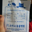 오라고동물병원 이미지