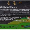 거제 대금산 진달래 산행/거제 8경 공곶이 수선화 농원(천주교 순례길) 이미지