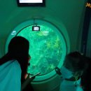 대국해저관광(주) 서귀포잠수함 이미지