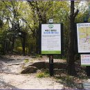 장미길코스 이미지