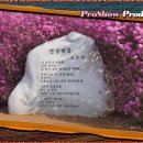 (주)신신사