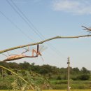 상신2리 이미지