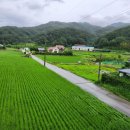 호경농장 이미지