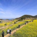 청산정원 이미지