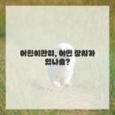 아이치과의원 이미지