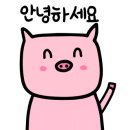 참새 노래연습장 이미지