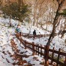 함평이야기 이미지