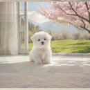 동대문구 회기동 주민센터 소강당 | 동대문구 꼬똥드툴레아분양 현장 체험과 지역 정보 한번에 정리