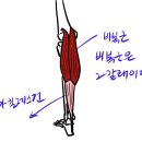 용암형제한의원 이미지