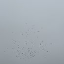 (주)비비비 이미지