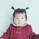 디어모니