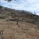 삼밭골목장 이미지