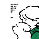 멍멍이달린다