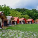 안성다목적야영장 이미지