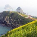 250811 &#34;연차 없이 10일 쉰다&#34;… 10월 임시공휴일 가능성? 이미지