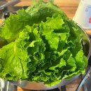 태형 | [잠실] 방이동 삼겹살 맛집 _ ‘태형식당’ 맛집 찐 후기!