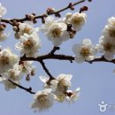 섬진소프트 네이버블로그
