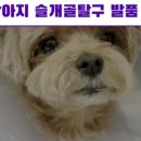 스마트 정형외과 신경외과 동물병원 네이버블로그
