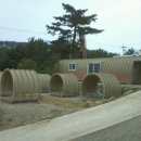 트로피칼드림 이미지