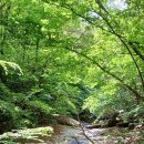 용추폭포가든 이미지