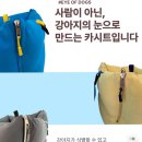 스윗테일 | 비숑 중형견 강아지 애견 카시트 추천 스윗테일
