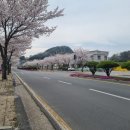 밀양현대자동차학원