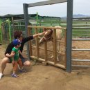 빗돌배기마을 이미지