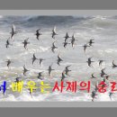 어서에서 배우는 사제의 승리/ 죄와 벌 이미지