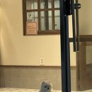 정사랑미용실 이미지