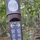 전망대길 10 이미지