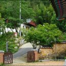 군하편벽간편간 君何偏癖簡編間 당신은 책벌레가 되려하시오! 이미지