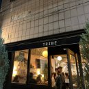 5360 | 대구 반월당 레스토랑 트라이브레스토랑 솔직후기 | 뇨끼 맛집 분위기 최고