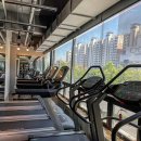 더블유짐 정자11호점 이미지