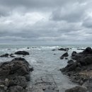 정원농장 | 사십다섯번째, 귤빛정원감귤체험농장(feat. 애월천혜향따기체험솔직후기)