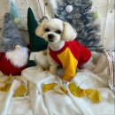 양덕동275 이미지