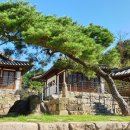 락고재 하회한옥호텔 기와본관 이미지