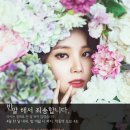 매리플레르 이미지
