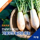 목동자생한방병원 이미지