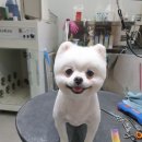 미소메디컬센터 이미지