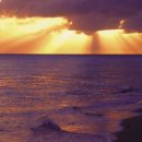 바다해오름 이미지